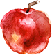 リンゴ イラスト