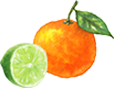 オレンジとライム イラスト